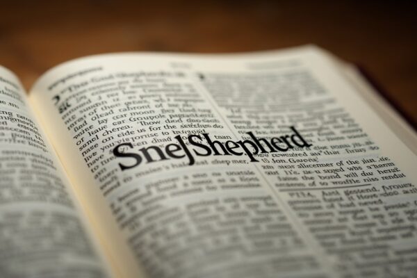 Good Shepherd Bible Verses