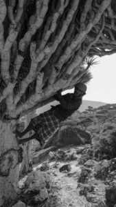 Socotra Island